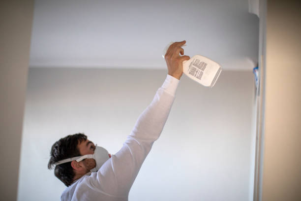Best Mold Removal Company Near Me  in Brooklyn Center, MN