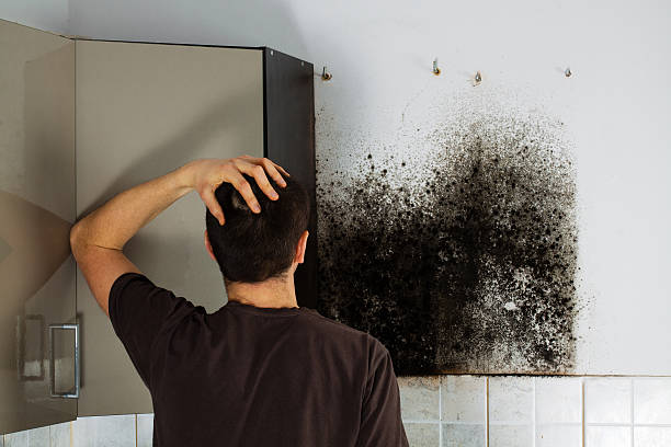 Brooklyn Center, MN Mold Removal Company
